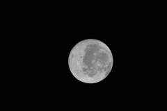 art002e009057 (April 4, 2026) - A view of the nearside of the Moon, the side we always see from Earth. Some of the far side is visible, as well, on the left edge, just beyond the black patch that is Orientale basin, a nearly 600-mile-wide crater that straddles the Moon’s near and far sides and is partly visible from Earth. The dark areas in the center and right side of the disk are ancient lava flows, which are unique to the near side of the Moon. The white dot at the bottom of the disk, with white rays shooting out from it, is Tycho crater, one of the younger craters on the Moon at 108 million years old.