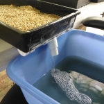 Kai Staats conducting a barley plant growth experiment at B2, 2019