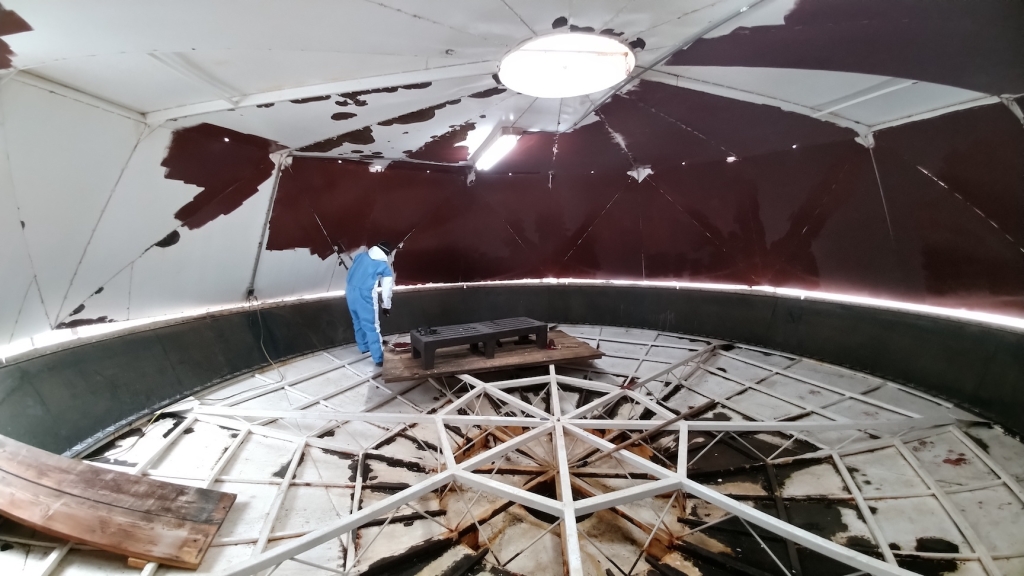 Painting the SAM lung shell