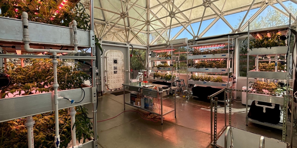 Hydroponics at SAM, Biosphere 2